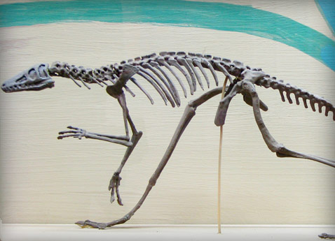 Los predinosaurios