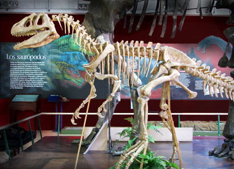 Los dinosaurios del Jurásico: Piatnitzkysaurus floresi