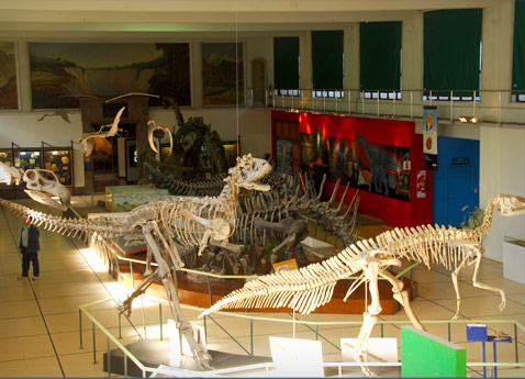 Los dinosaurios del Cretácico: Carnotaurus sastrei