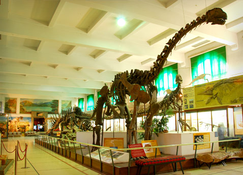 Los dinosaurios del Jurásico: Patagosaurus fariasi
